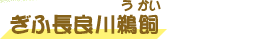 ぎふ長良川鵜飼