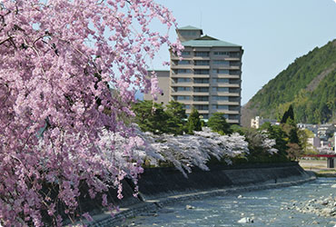 下呂温泉の桜めぐりバスツアー