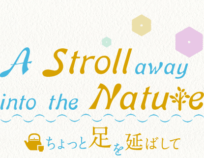 A Stroll away into the Nature ちょっと足を延ばして