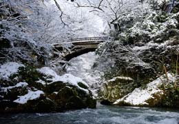 冬のこおろぎ橋