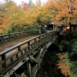 こおろぎ橋