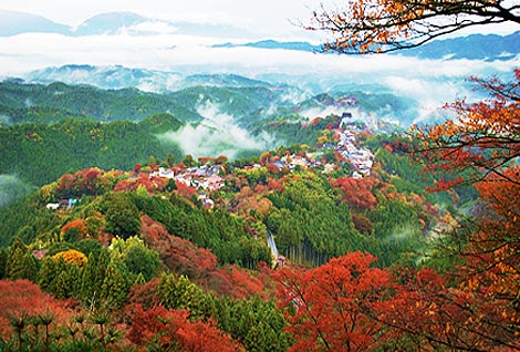 吉野大峰　世界遺産