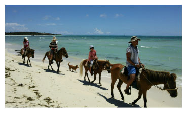 イーフビーチで乗馬体験