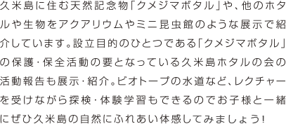 久米島に住む天然記念物「クメジマボタル」や、他のホタルや生物をアクアリウムやミニ昆虫館のような展示で紹介しています。設立目的のひとつである「クメジマボタル」の保護・保全活動の要となっている久米島ホタルの会の活動報告も展示・紹介。ビオトープの水道など、レクチャーを受けながら探検・体験学習もできるのでお子様と一緒にぜひ久米島の自然にふれあい体感してみましょう！