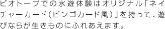 ビオトープでの水遊体験はオリジナル「ネイチャーカード（ビンゴカード風）」を持って、遊びならが生きものにふれあえます。