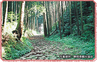 旧東海道の石畳（三島市）