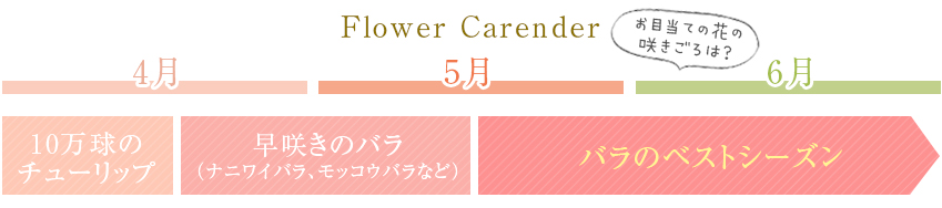 Flower Carender