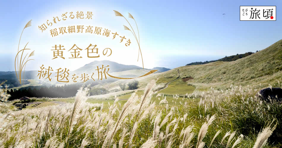 知られざる絶景 稲取細野高原 海すすき 黄金色の絨毯を歩く旅