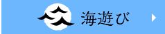 楽しさを運ぶ 海遊び