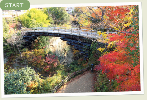 紅葉も美しい、“日本三大奇橋・猿橋”