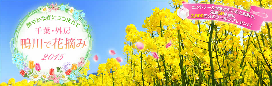 鮮やかな春につつまれて 千葉・外房　鴨川で花摘み