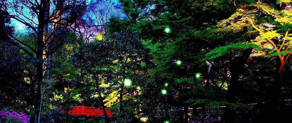ホテル椿山荘東京の庭園では例年5月下旬から蛍が庭園を飛び交います