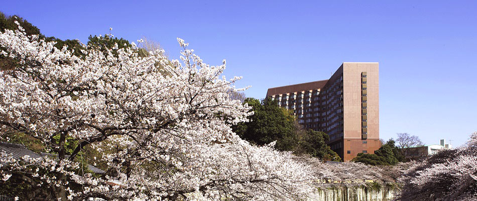  ホテル椿山荘東京｜桜に囲まれて、春の訪れを祝うホテル椿山荘東京
