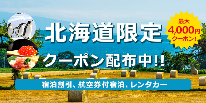 北海道 限定クーポン配布中!!今すぐ使える！宿泊割引、航空券付宿泊、レンタカークーポン♪