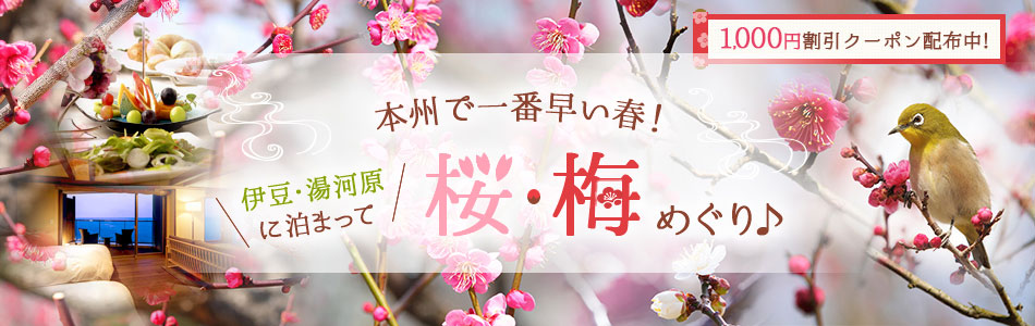 本州で一番早い春！伊豆・湯河原　桜・梅めぐり