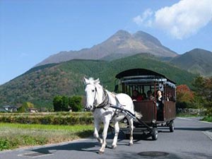 【由布市】観光辻馬車