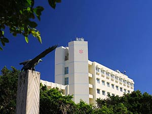 南の美ら花　ホテル　ミヤヒラ　＜石垣島＞