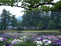 世界遺産・毛越寺