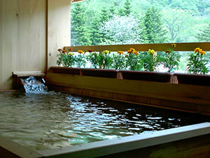 十和田湖畔温泉　とわだこ遊月