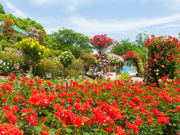 花巻温泉　ホテル千秋閣