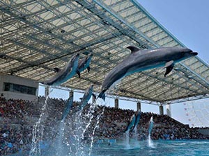 名古屋港水族館