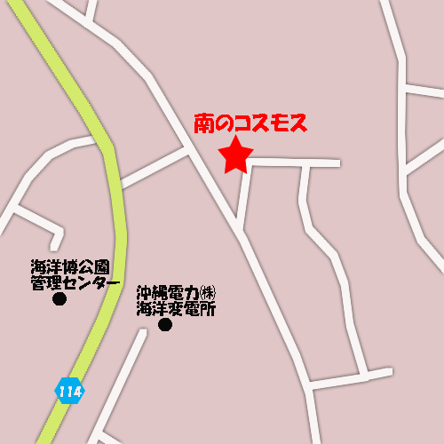 南のコスモス