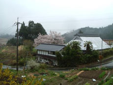 里山民宿　新屋