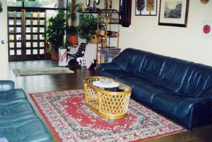 ＧＲＥＥＮ　ＣＨＡＩＲ　ＡＭＡＮＯ