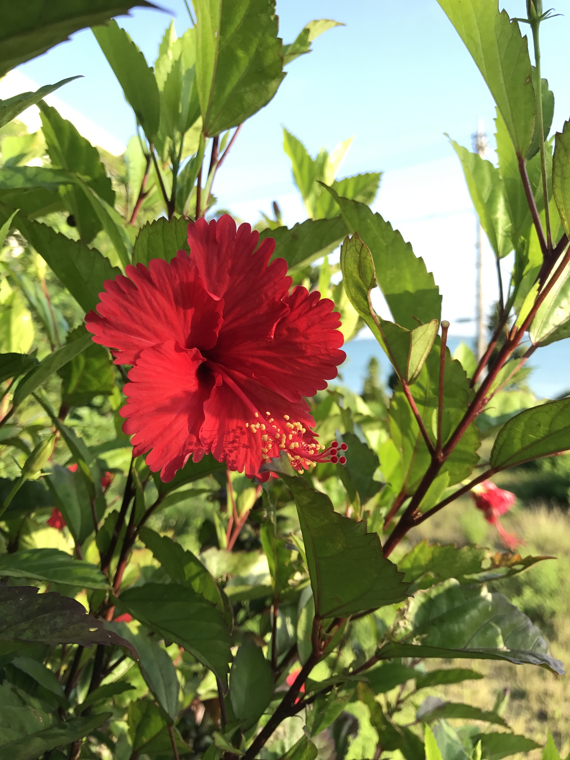 This photo about Miyakojima Villa Yonaha Bayside <Miyakojima> shared on HyHotel.com