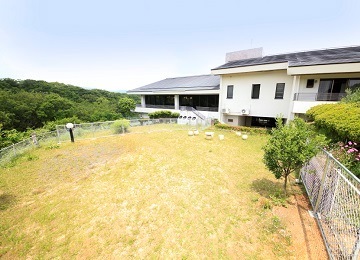 お部屋