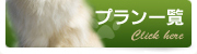 プラン一覧