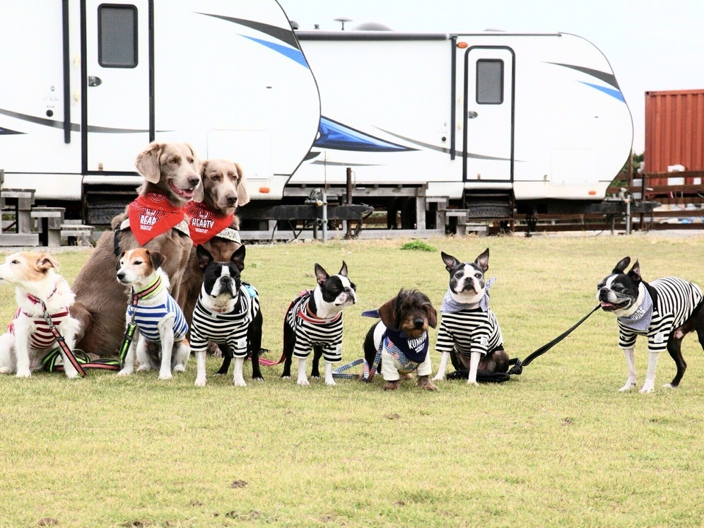 This photo about Lucky's Trailer Village shared on HyHotel.com