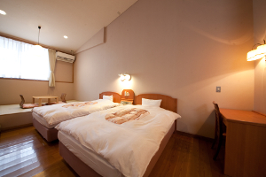 Deluxe Twin Room 21 to 25 Sq M