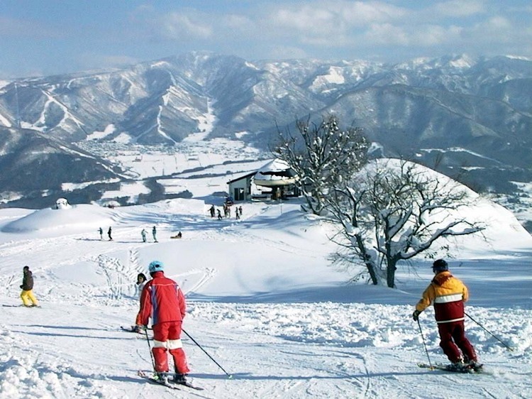 スキー場メイン