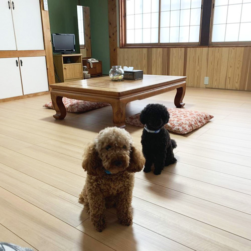 Shirakawago Hirase Onsen Oyado Yunosato