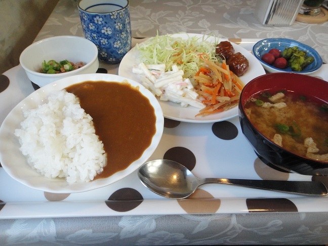 カレー盛り付け例