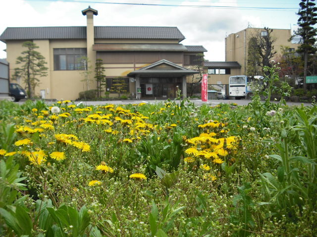 Saku Hotel