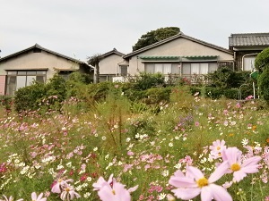 民宿 南風荘 外観