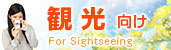 観光向け