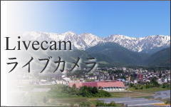 ライブ