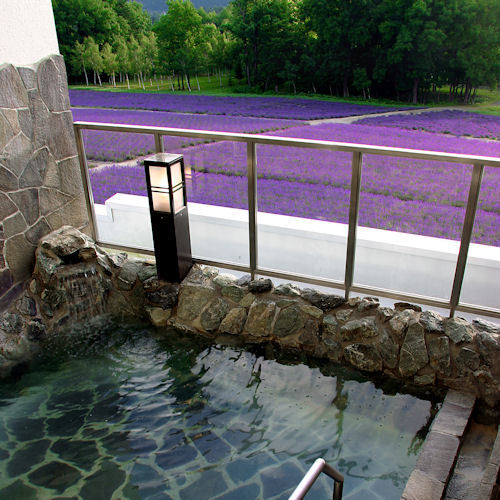 富良野の大自然満喫プラン(素泊まり)