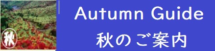 H̃y[W