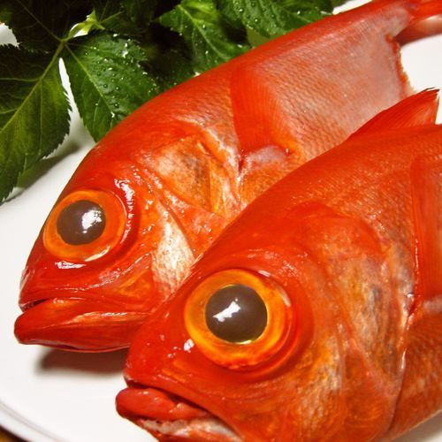 This photo about Pension Hana shared on HyHotel.com