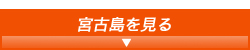宮古島を見る