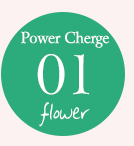 Power Cherge01 flower