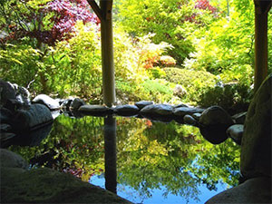 信州佐久　春日温泉　自然体感リゾート　かすがの森（旧名称　かすが荘）
