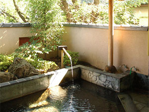 湯村温泉　湯志摩の郷　楽水園