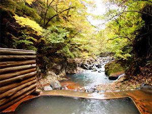 塩原温泉　柏屋旅館＜栃木県＞