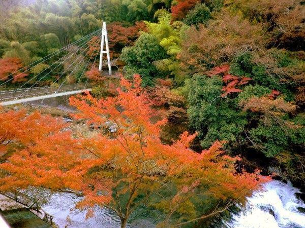 箱根温泉　鶴井の宿　紫雲荘