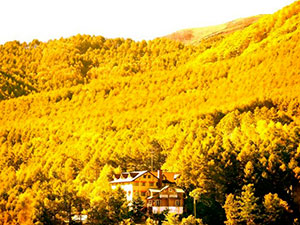 温泉山岳ホテル　アンデルマット